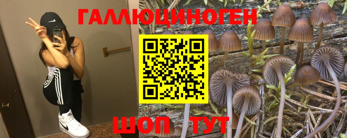 ТГК Ачхой-Мартан