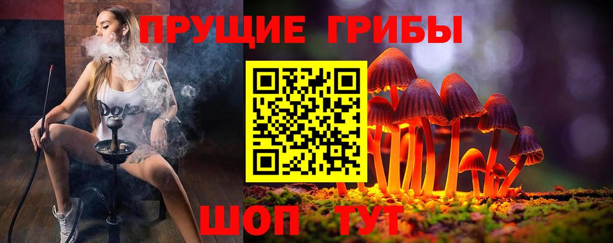 Ачхой-Мартан  Псилоцибиновые грибы ЛСД  Вход с VPN  Псилоцибиновые грибы MAGIC MUSHROOMS 
