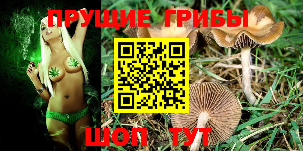 Галлюциногенные грибы MAGIC MUSHROOMS Ачхой-Мартан