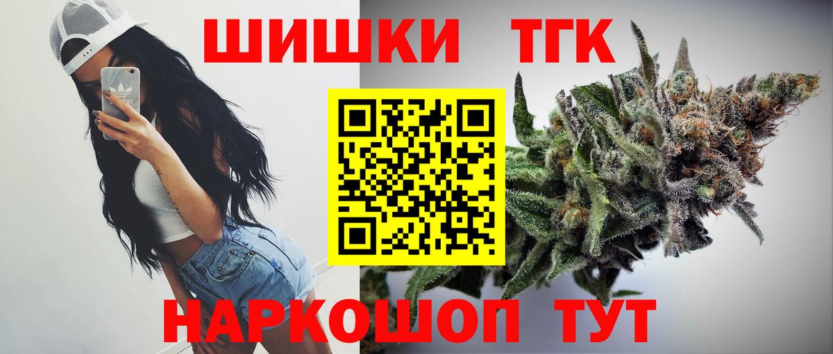 Конопля планчик Ачхой-Мартан